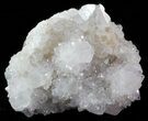 Cactus Quartz Crystals - South Africa #47179-1